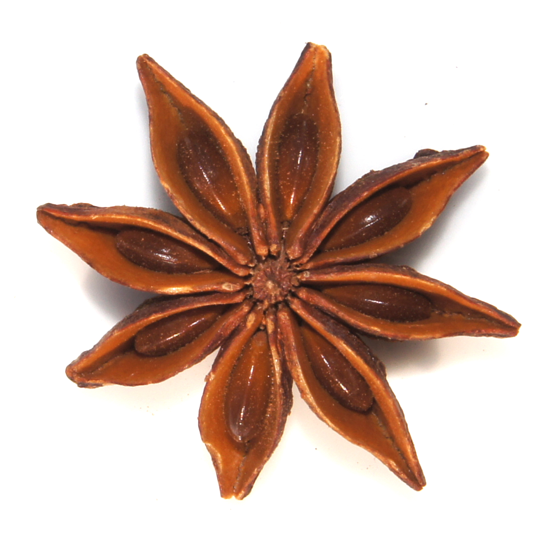 Sternanis als Medizin in der TCM und dessen medizi9nische Wirkung Sternanis als Medizin in der TCM und dessen medizi9nische Wirkung